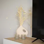Sofia Navarro Bello, 1 P2 E アパート *