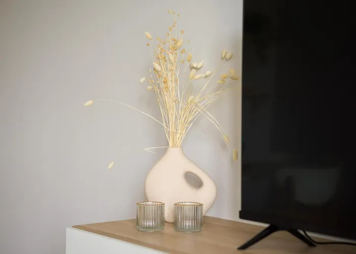 Sofia Navarro Bello, 1 P2 E Lejlighed *