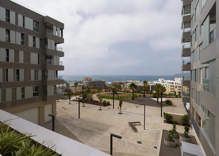 Sofia Navarro Bello, 1 P2 E アパート